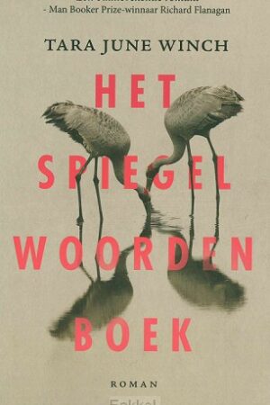 Spiegelwoordenboek