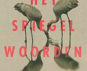 Spiegelwoordenboek