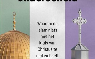 Cruciale onderscheid
