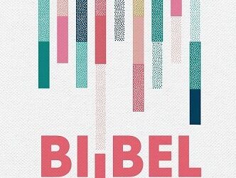Bijbel hsv hardcover kleurig