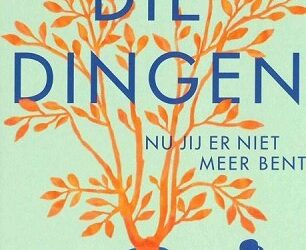 Al die dingen nu jij er niet meer bent