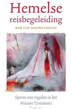 Hemelse reisbegeleiding