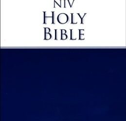 NIV – Economy Bible