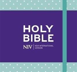 NIV notebook bible