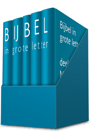 Nieuwe bijbelvertaling grote letter