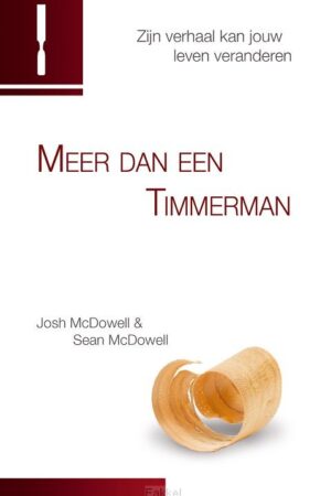 Meer dan een timmerman