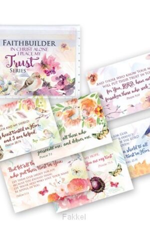 Faithbuilder trust series
