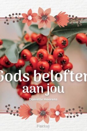 Gods beloften aan jou