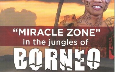 Wondergebied in de jungles van borneo