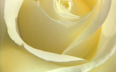 Genezing van beschadigde emoties