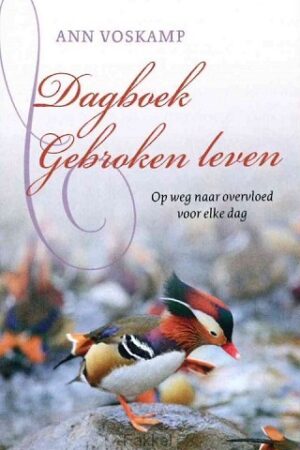 Dagboek gebroken leven