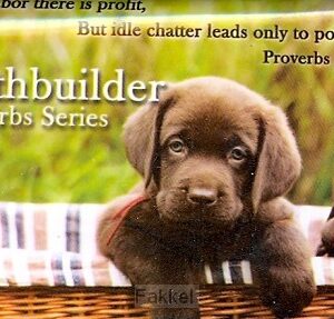 Faithbuilder proverbs series