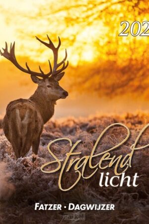 Kalender 2024 hsv stralend licht