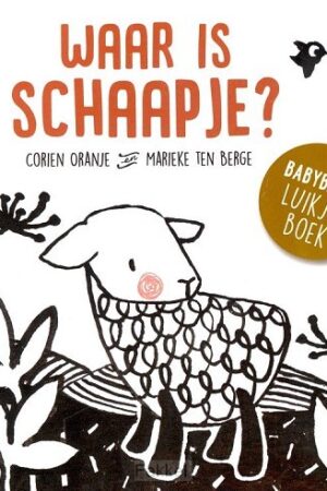 Waar is schaapje kartonboek