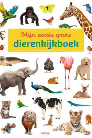 Mijn eerste grote dierenkijkboek