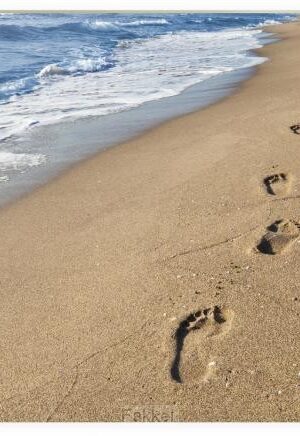 Coaster, footprints