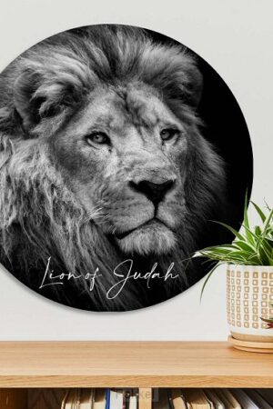 Lion of judah