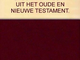 Bijbelse tijdgenoten