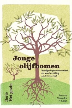 Jonge olijfbomen