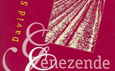 Genezende genade