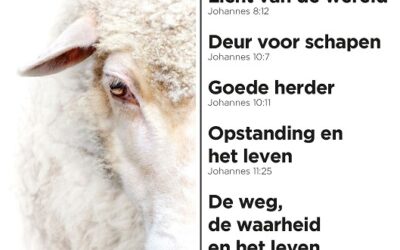 A4-bord schaap