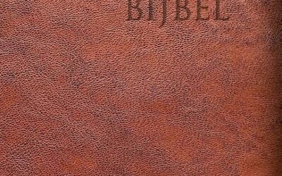 Bijbel HSV edge lined – bruin leer