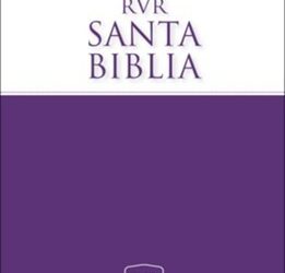 RVR1977 – Economy Bible