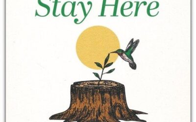 Stay Here