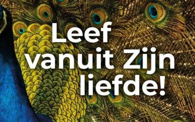 Leef vanuit Zijn liefde