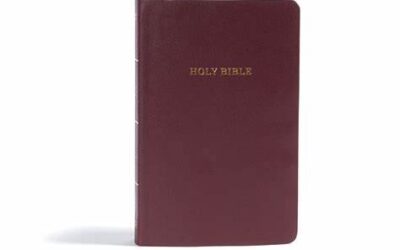 KJV – Gift & Award Bible