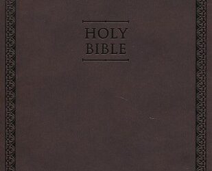 NIV – Value Thinline Bible