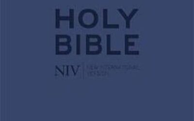 NIV  Tiny Bible With Zip