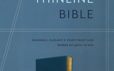 NIV – Thinline Bible