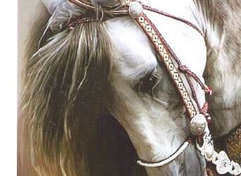 Ongeziene vrouwelijke