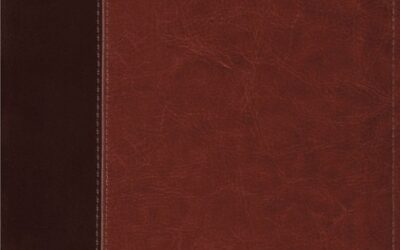 ESV – Thinline Bible