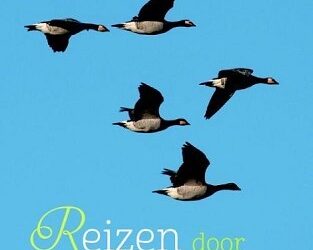 Reizen door nieuw land