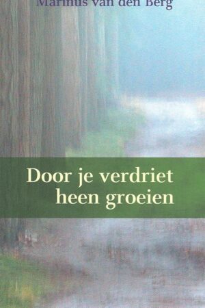 Door je verdriet heen groeien