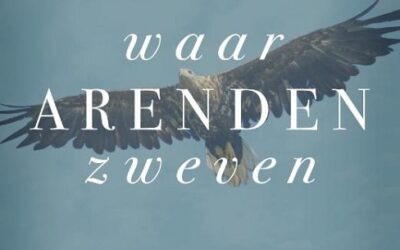 Waar arenden zweven
