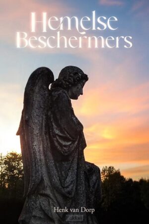Hemelse beschermers