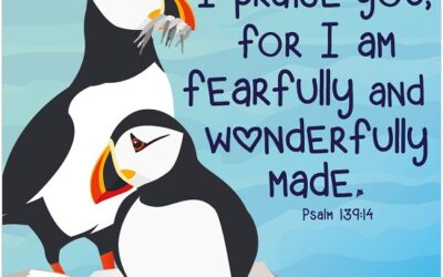 Fearfully and wonderfully made coaster