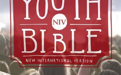 NIV – Soul Survivor Youth Bible