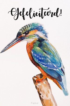 Gefeliciteerd - ijsvogel