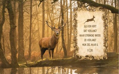 Als een hert dat verlangt naar water