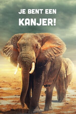 Kanjer - olifant