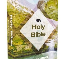 NIV – LP Bible – Comfort print