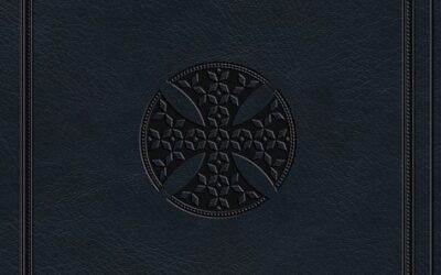 ESV – Large Print Value Thinline Bible
