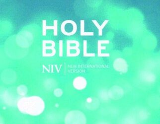 NIV popular bible