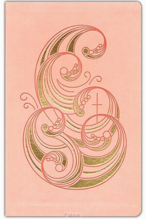MES - Deluxe Gift Bible