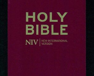NIV – Pocket Bible With Zip