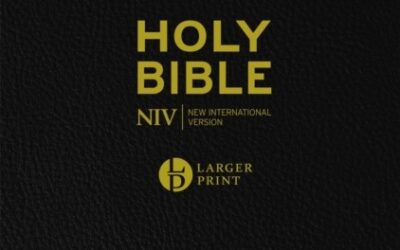 NIV – Larger Print Bible